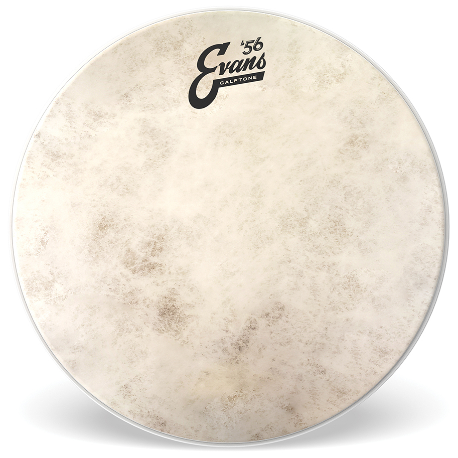 Evans TT10C7 - Calftone Tom Batter, 10 Zoll