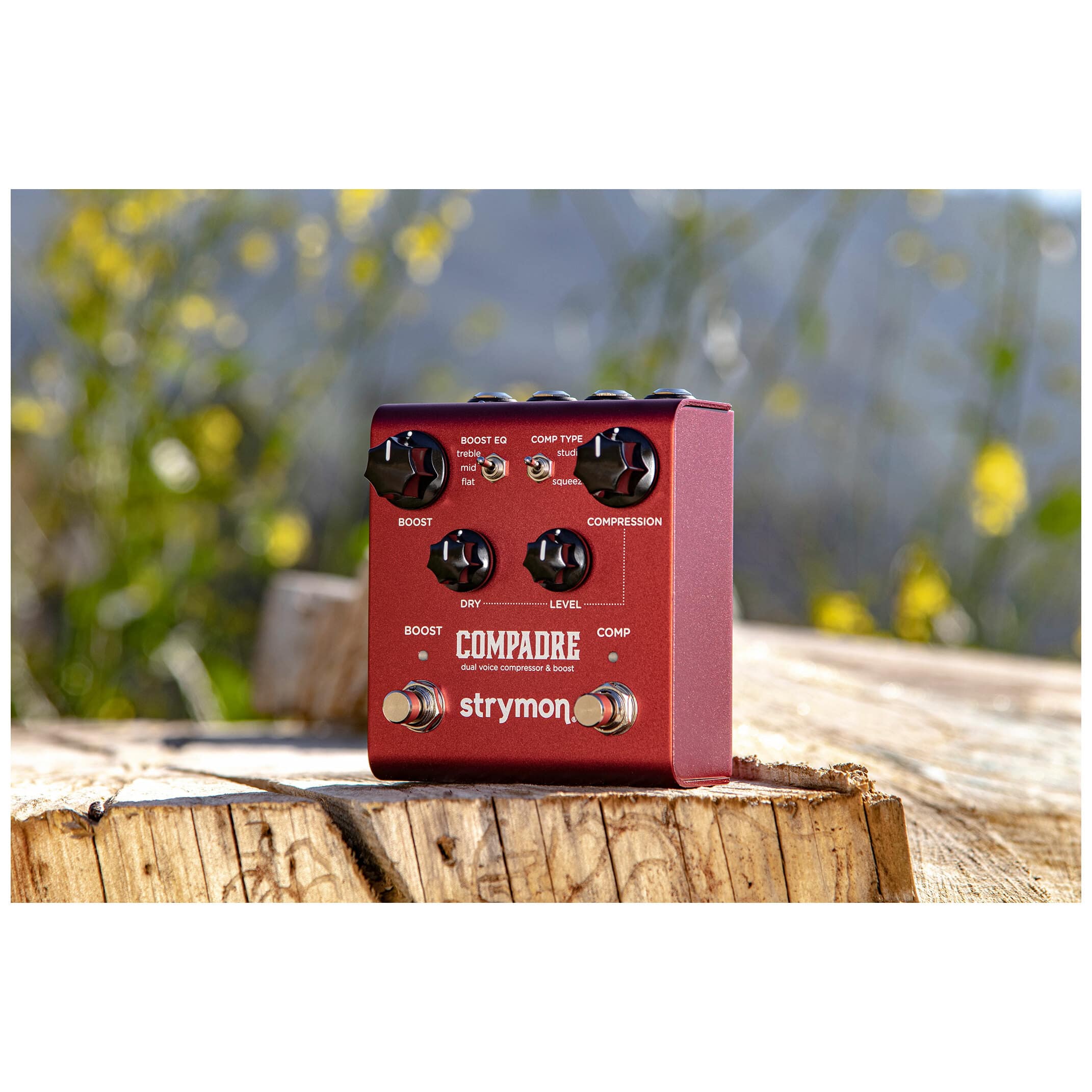 Strymon COMPADRE 4