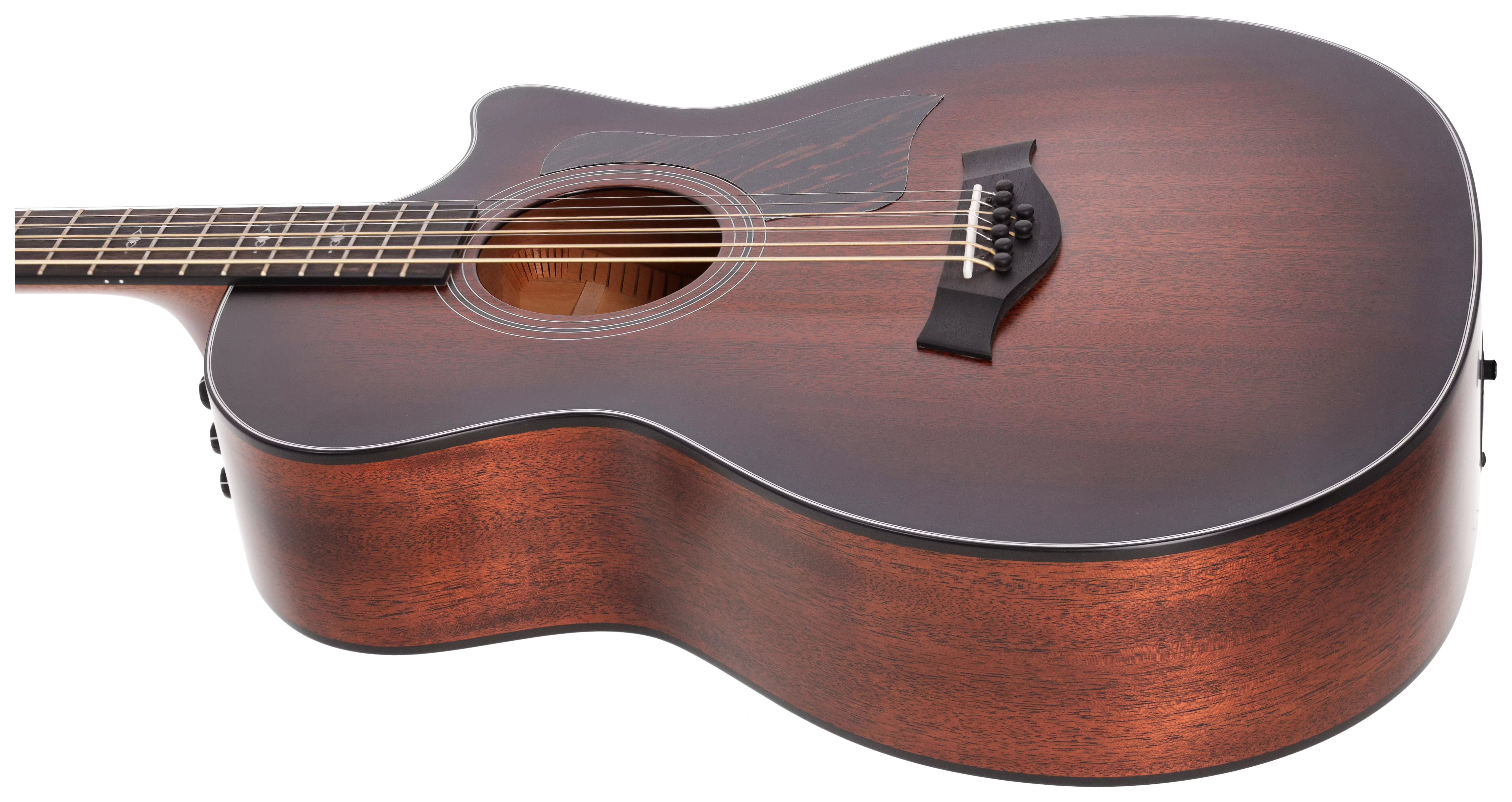 Taylor 324ce Baritone-8 LTD 5