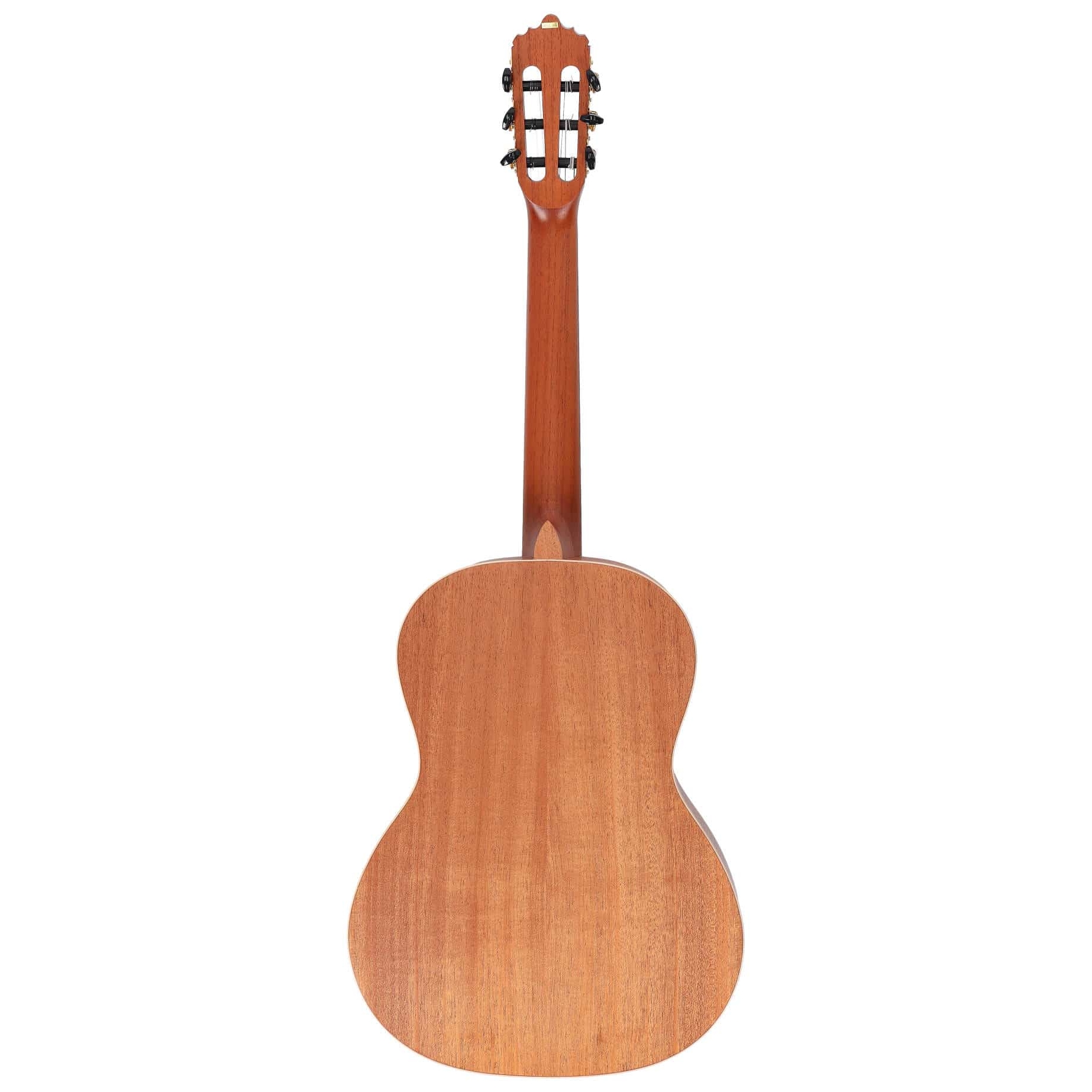 Image of La mancha rubi cm 63 n 10006694 6