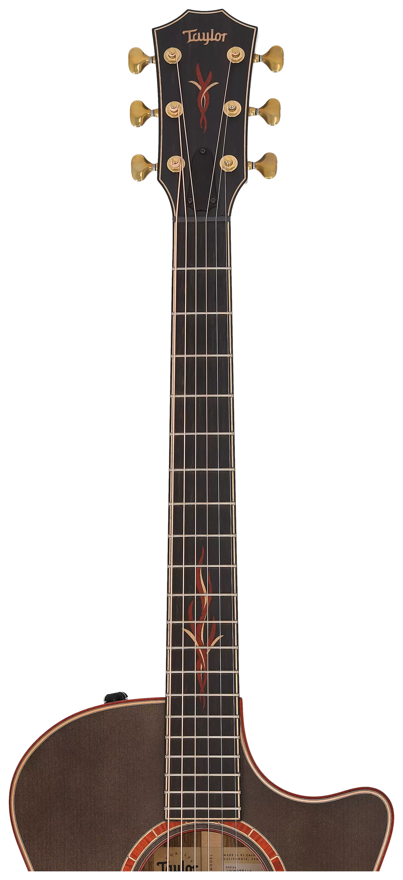 Taylor Custom GA C14ce Black Limba/Lutz Spruce #21 13