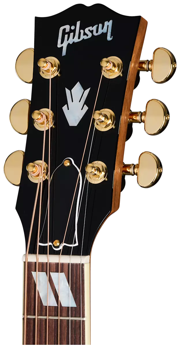  Hummingbird Standard Rosewood EC 4