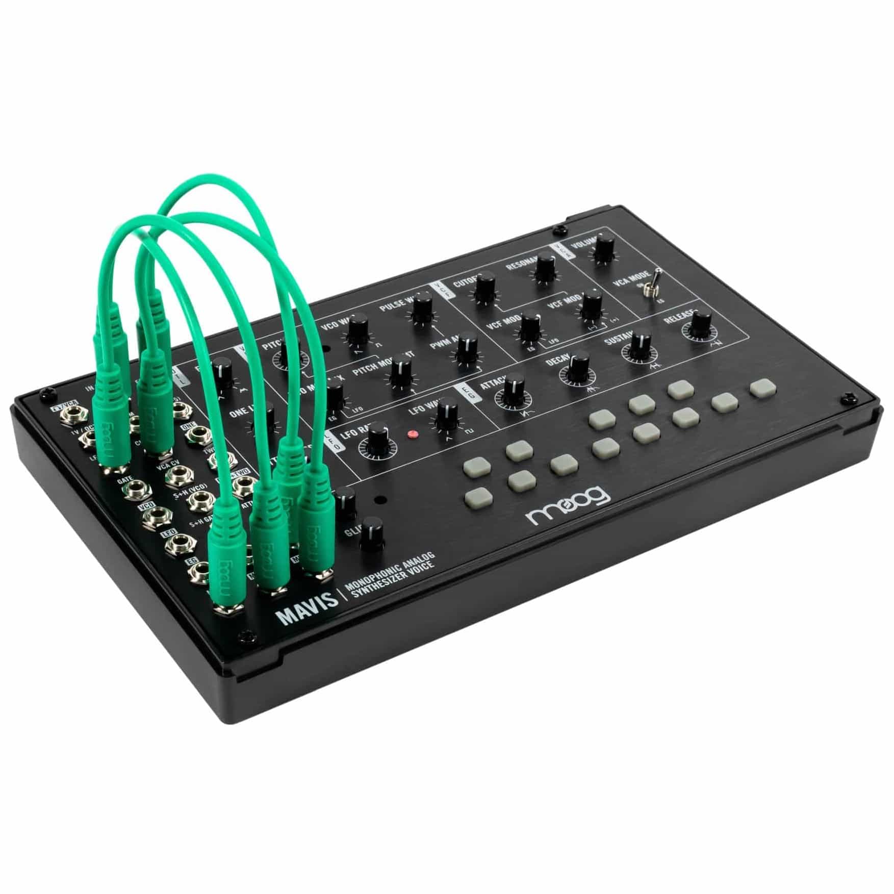 Image of Moog mavis 10028023 4