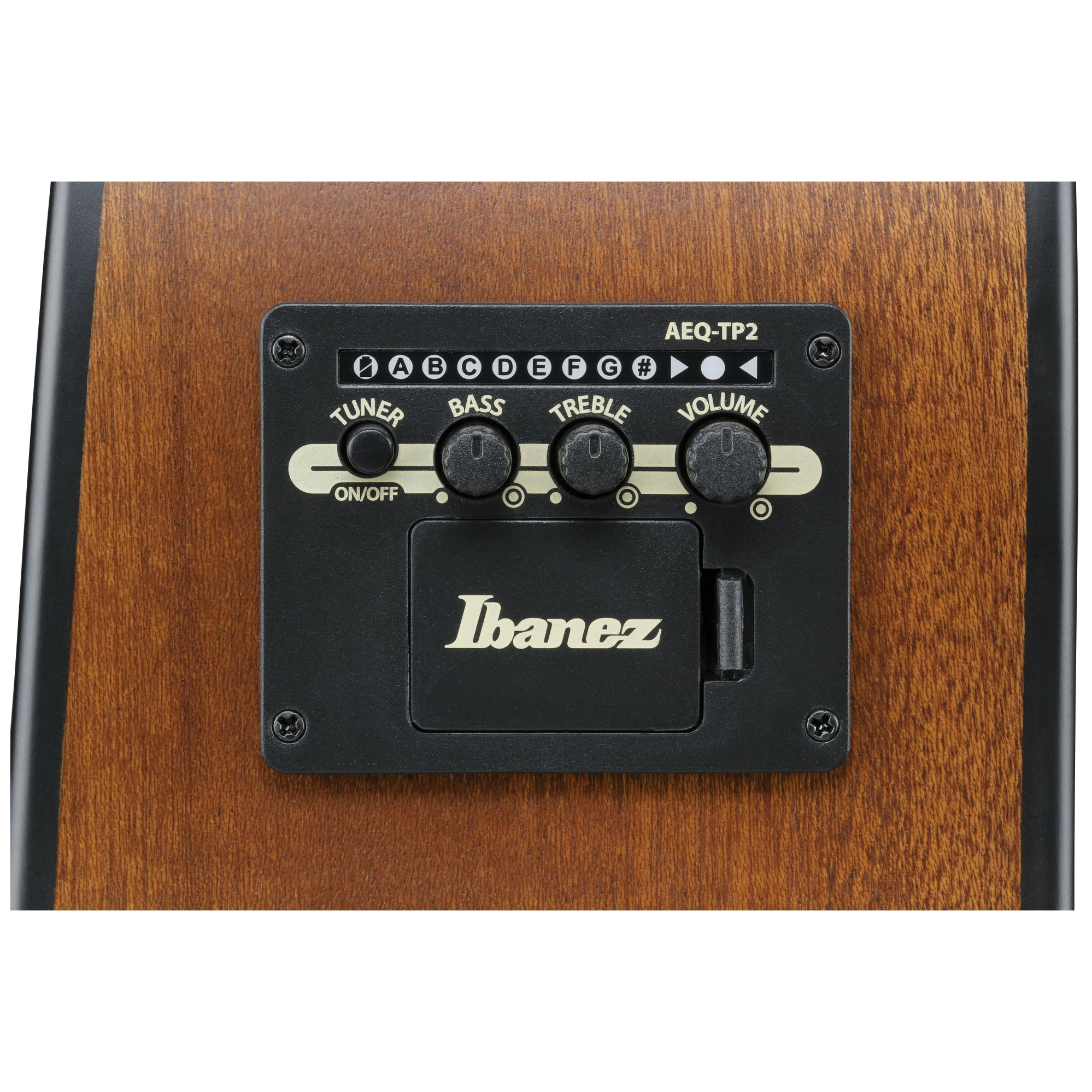 Ibanez AAD54E-OMH 3