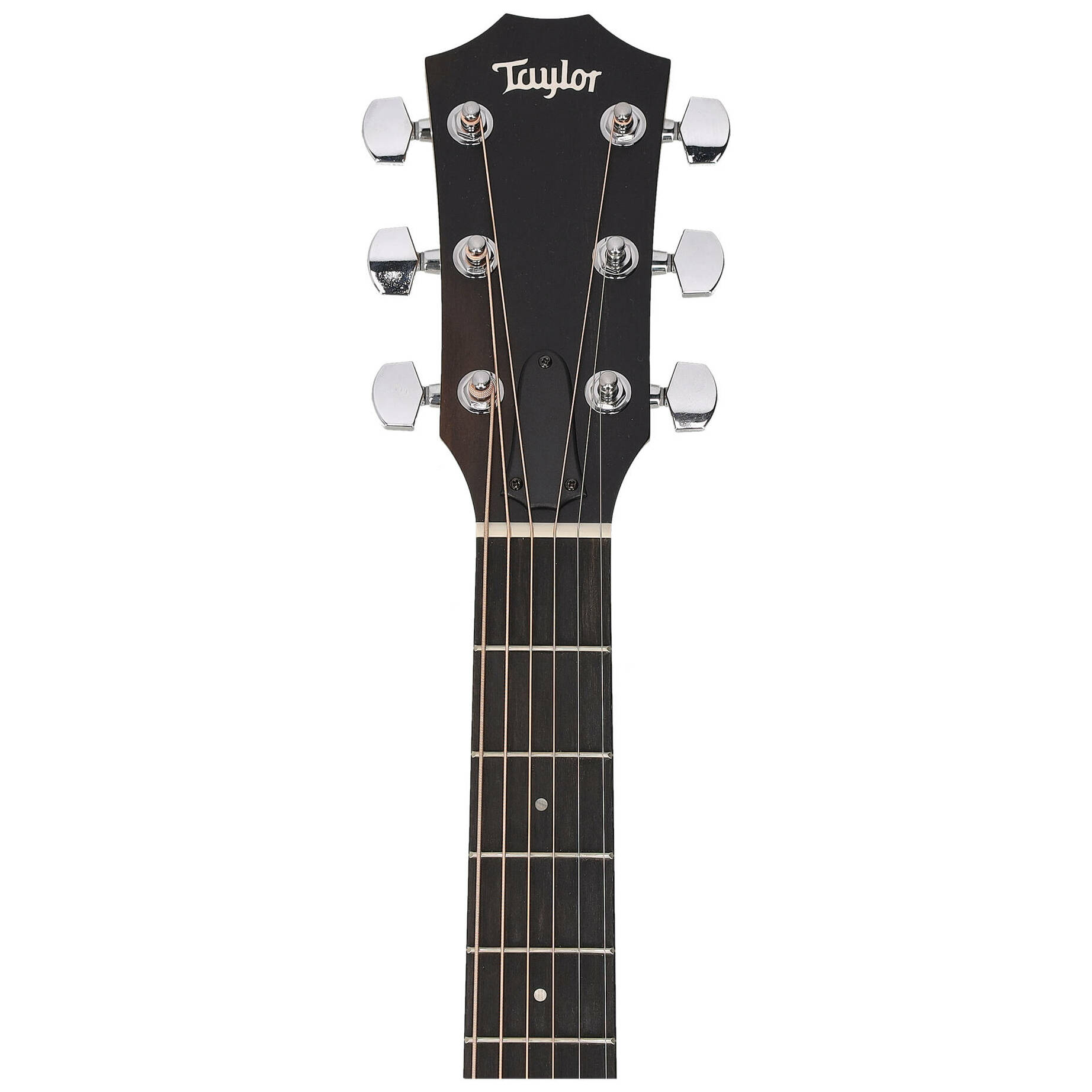 Taylor 112ce-S Sapele 5