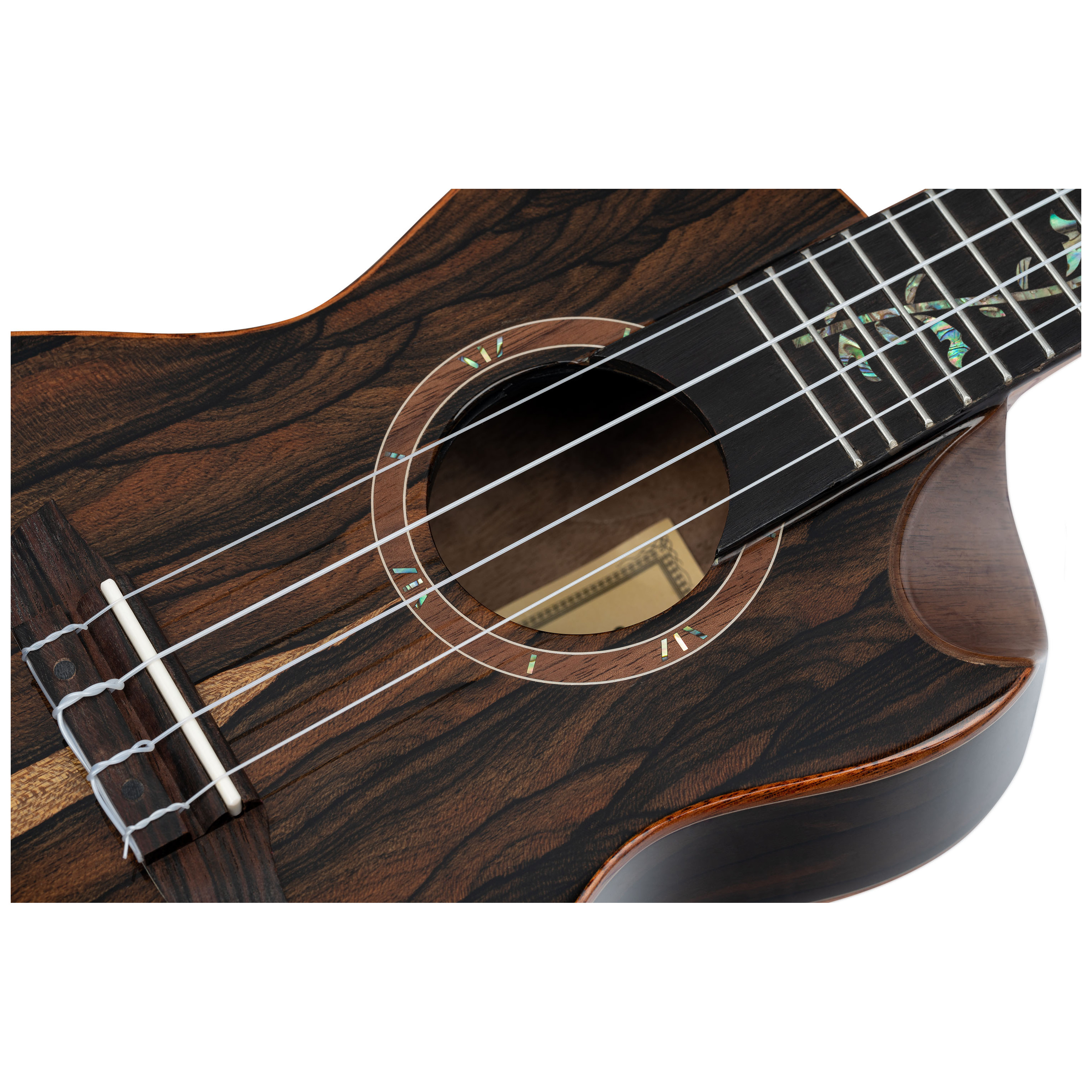 Ortega RUET-ZC 6