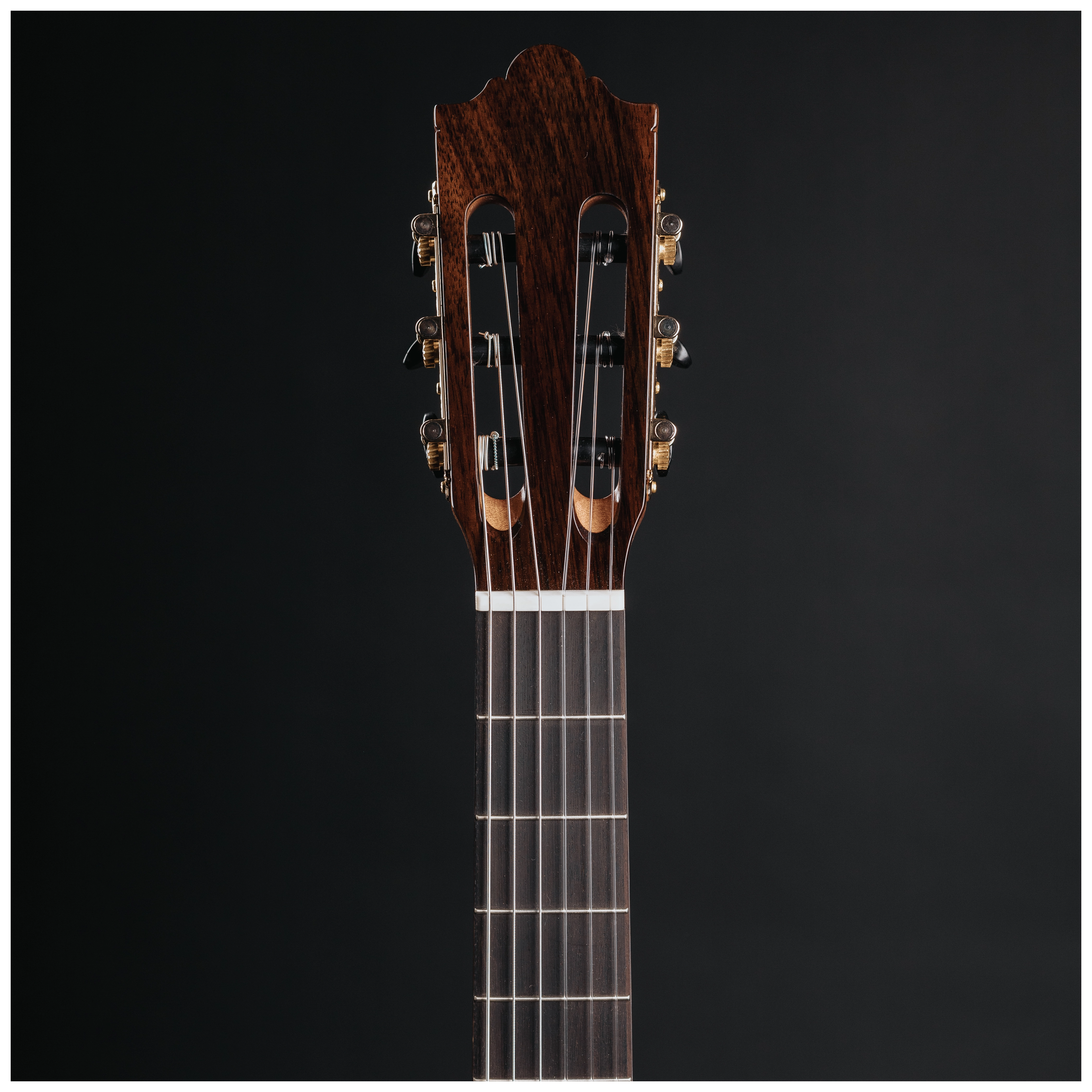 Redwood Cantora Pro 4/4 SM 17