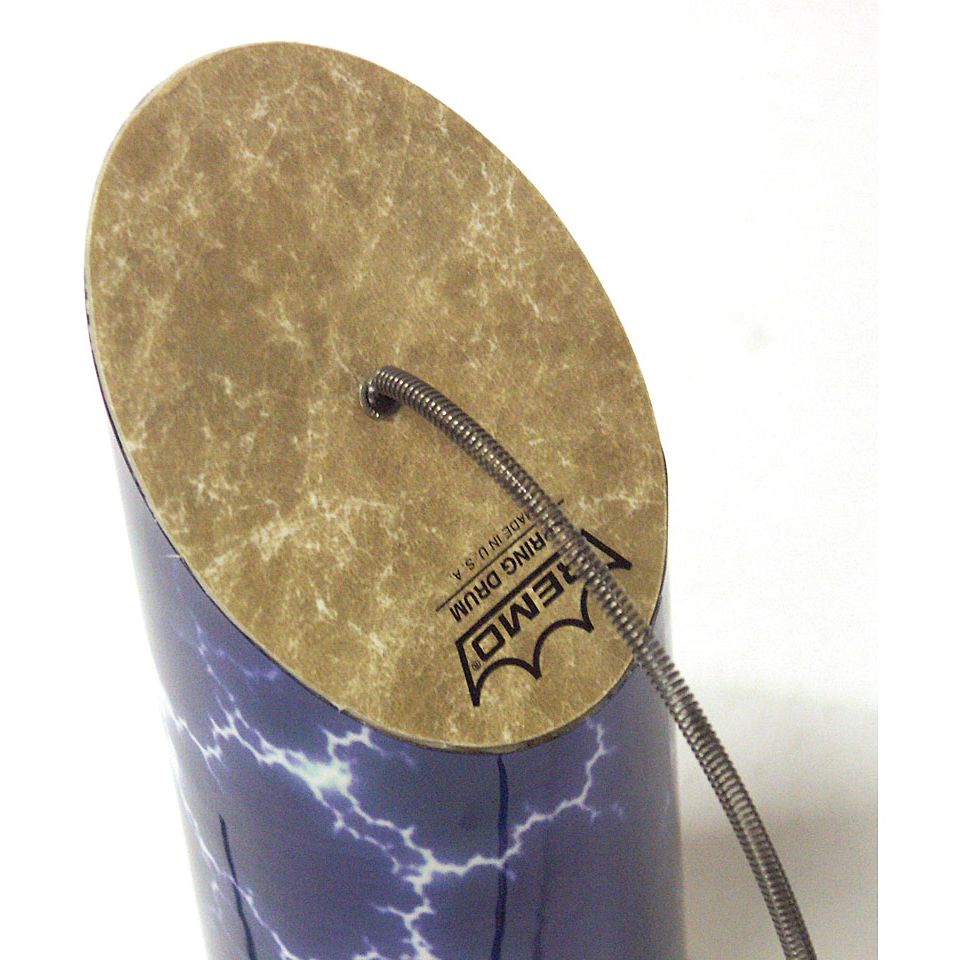 Remo Trilok Gurtu SP-0410-1A 10" x 4" Spring Drum 2