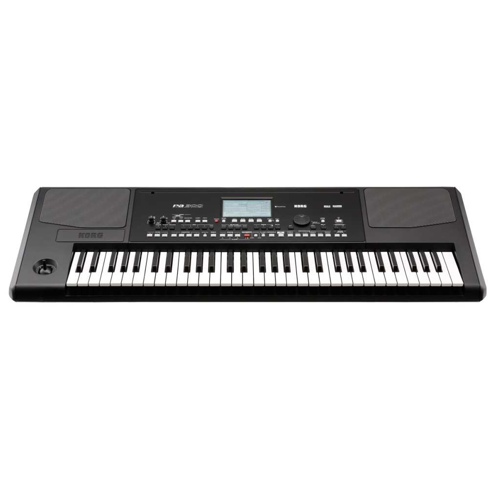 Korg - Korg PA-300 - 1