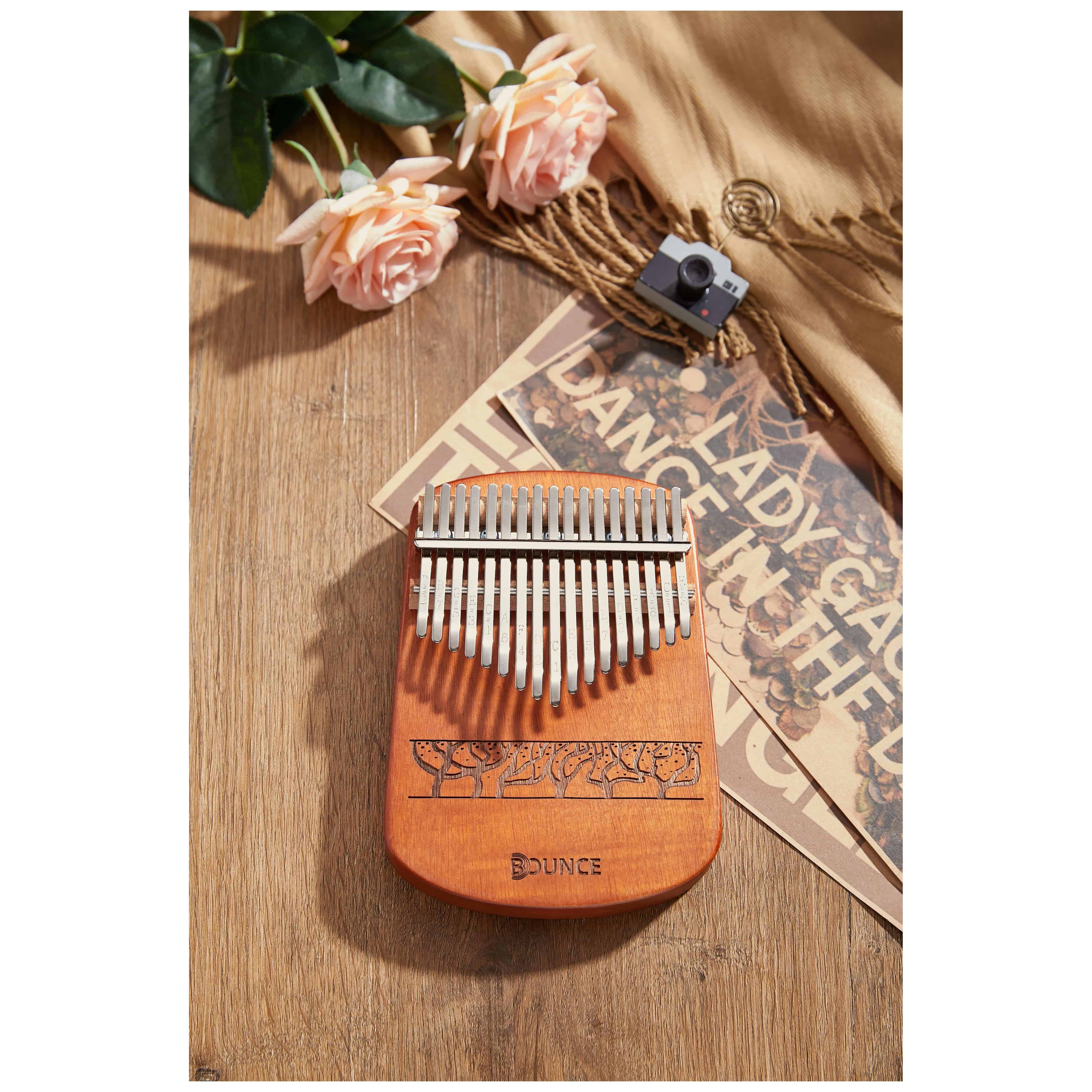 Bounce - Bounce Kalimba P-17-C - 5