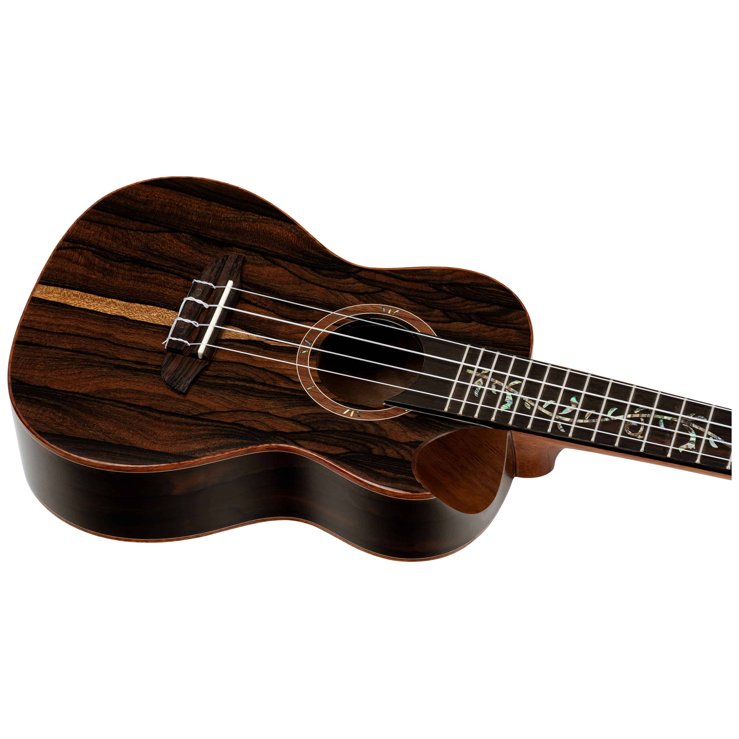Ortega RUET-ZC 5