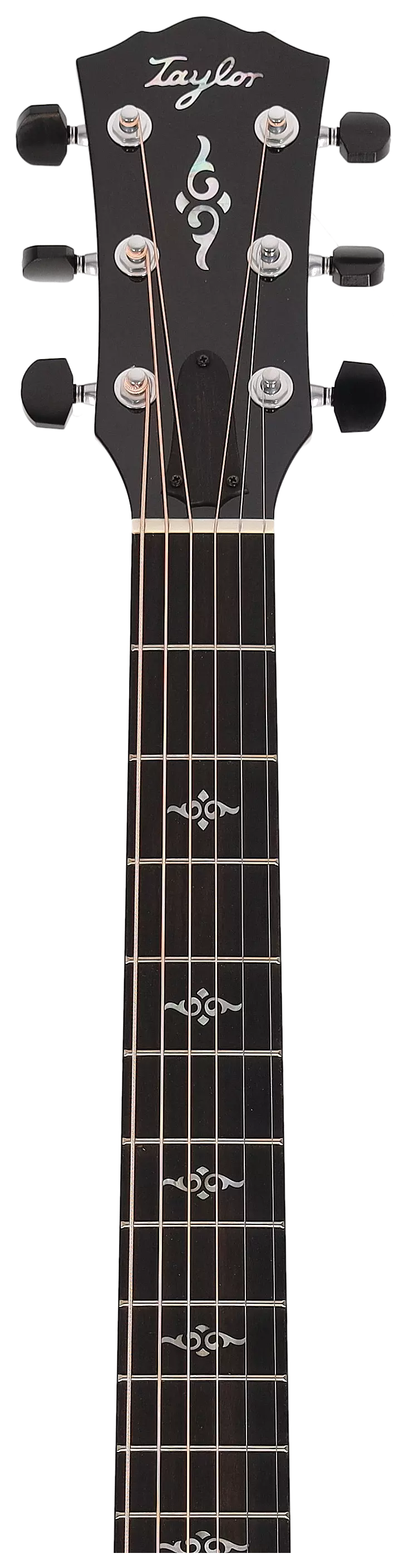 Taylor Gold Label 814e #2 11