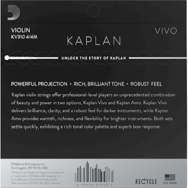 D’Addario Kaplan Vivo KV310 4/4M 1