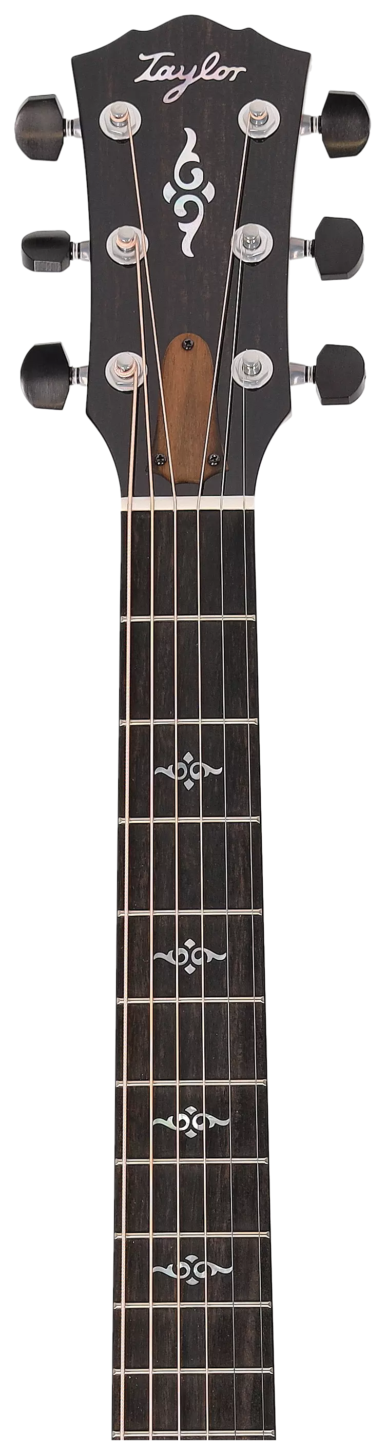 Taylor Gold Label 814e 13