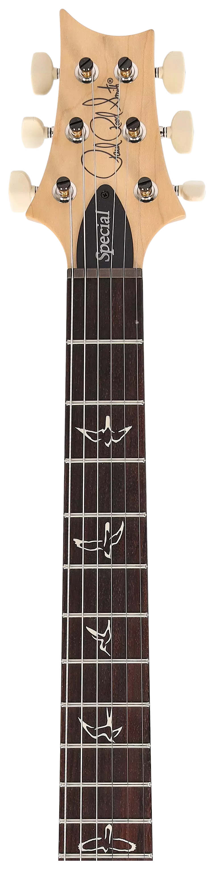 PRS Swamp Ash Special White Doghair Smokeburst #1 13