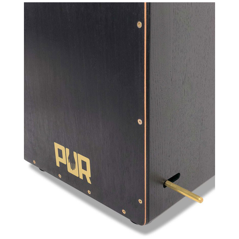Pur Vision PRO PC 4399 Black & Gold 2