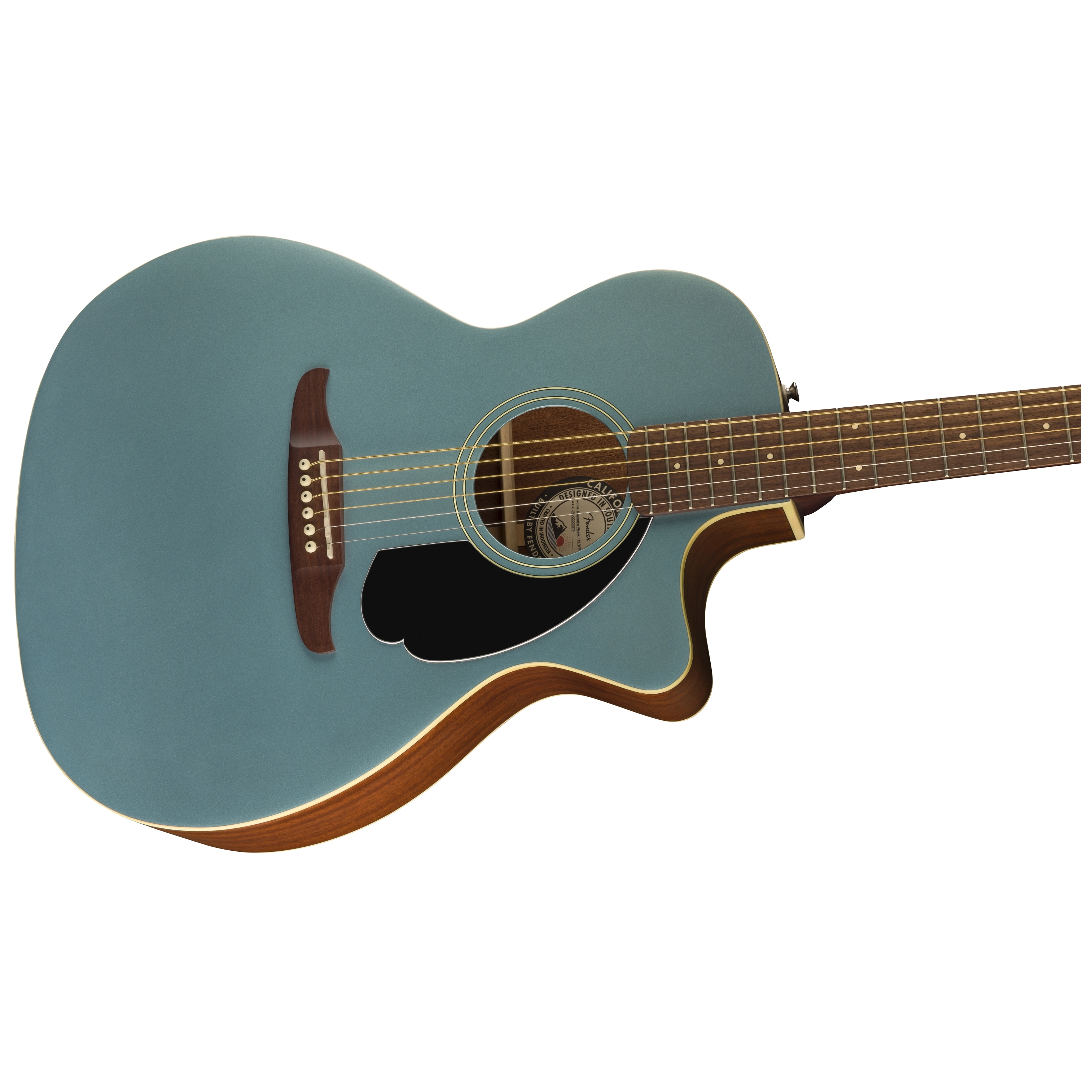 Fender Newporter Player TPL 5