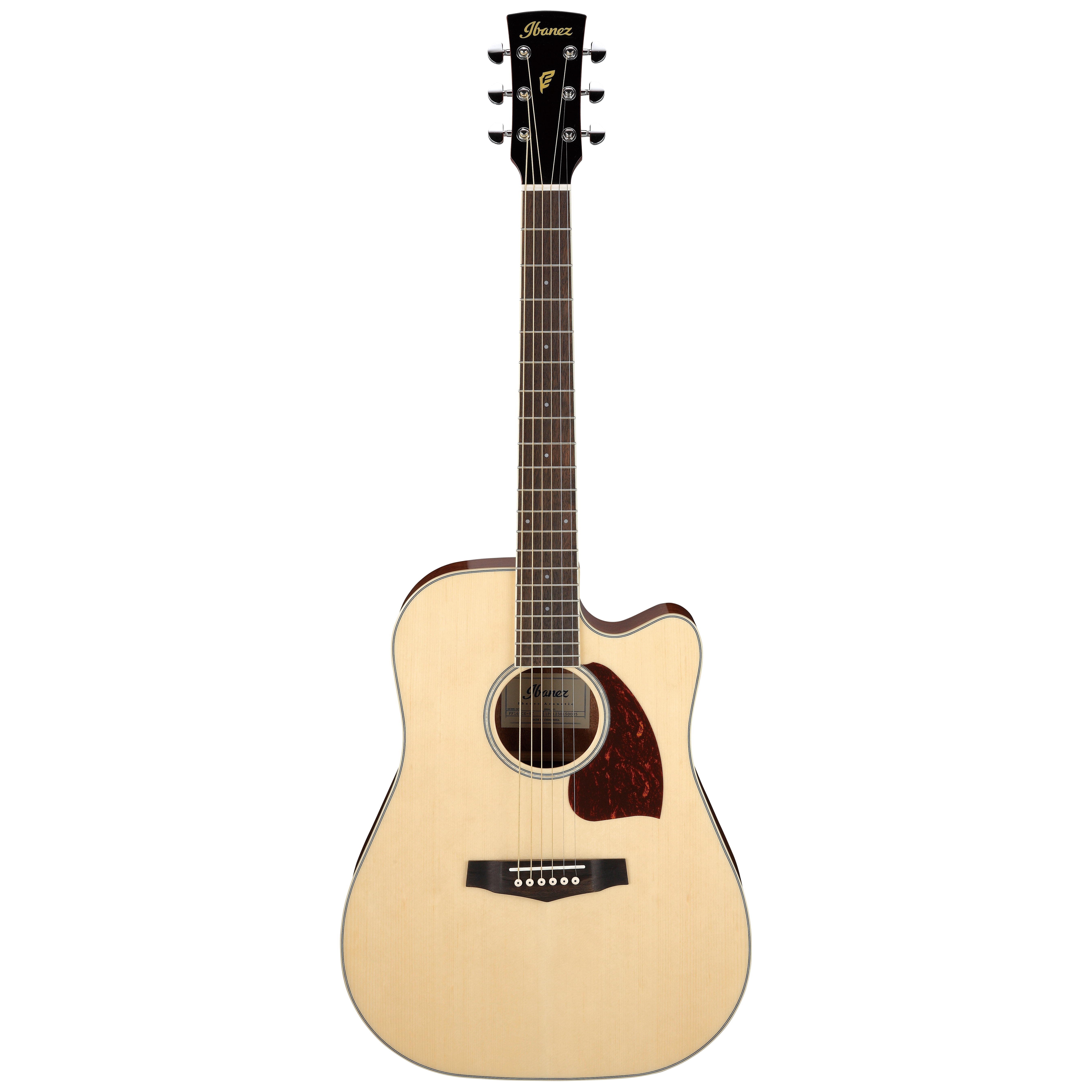 Ibanez PF16WCE-NT
