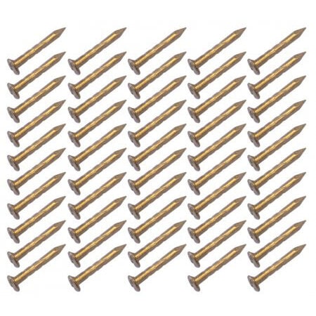 Hohner Nails for reed plate - universal