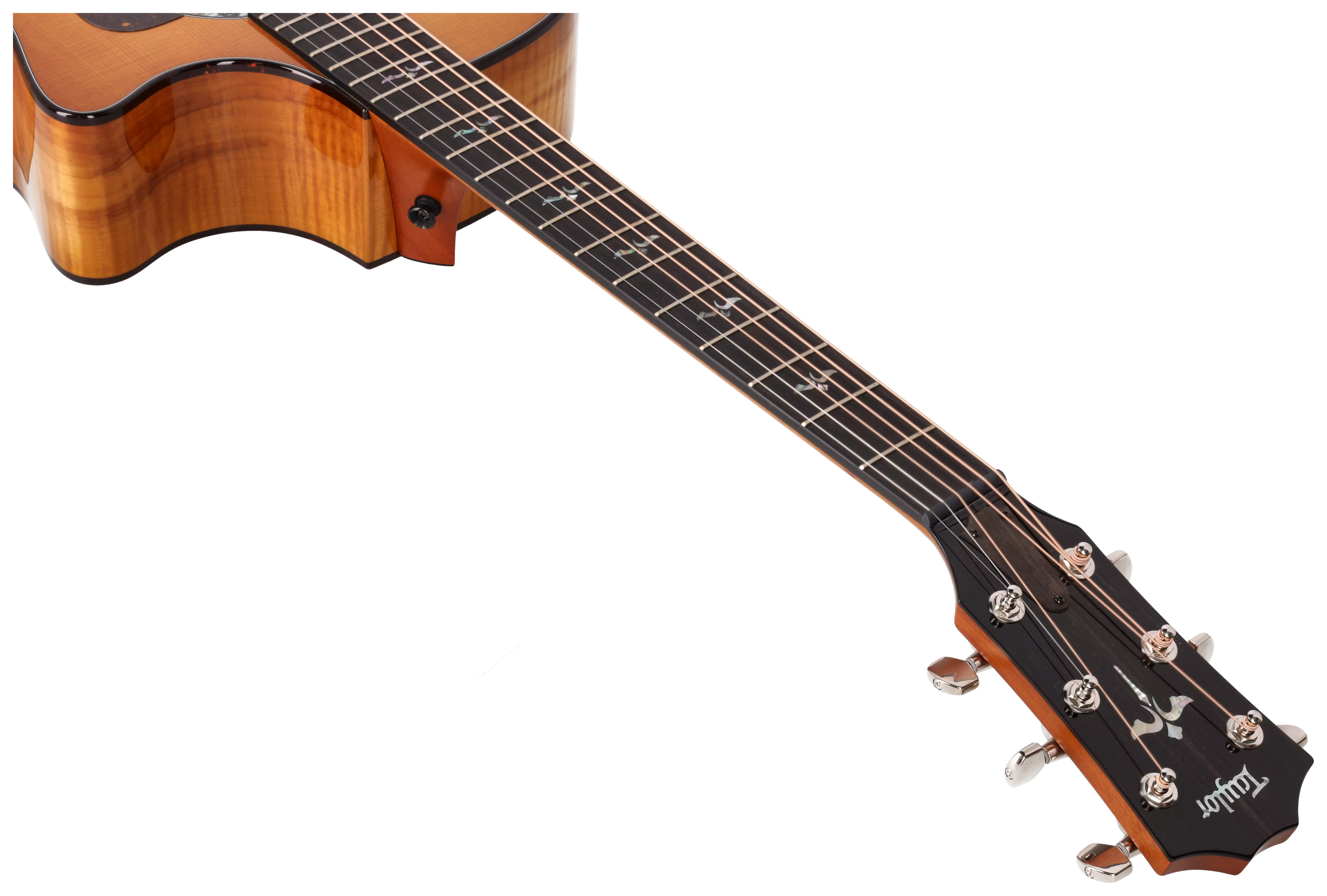 Taylor 614ce Next Generation 13